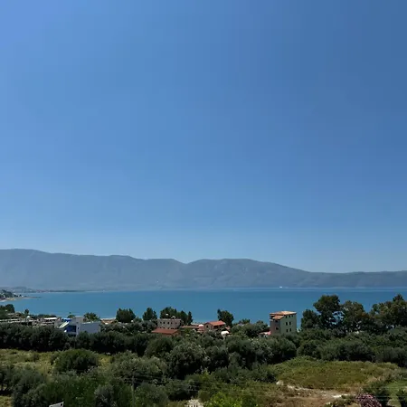 Sea La Vie فلورا